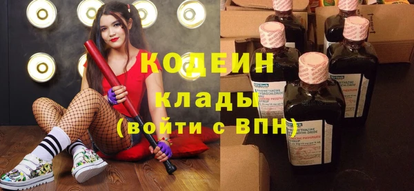 скорость Каменногорск