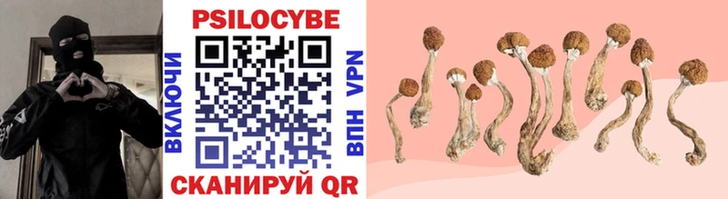 Псилоцибиновые грибы MAGIC MUSHROOMS  Купить где  Поронайск 